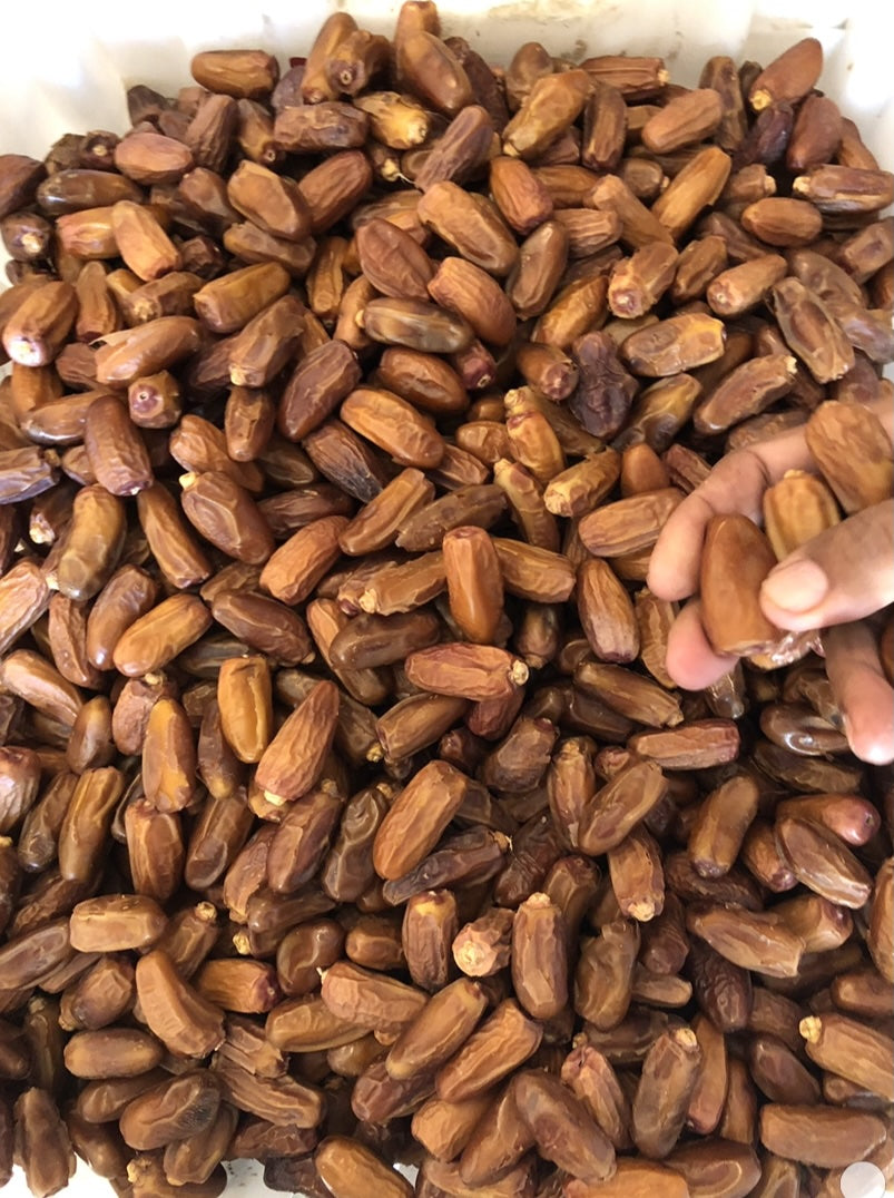 Dried Deglet Nour Dates (WholeSale)